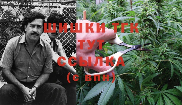 2c-b Кукмор