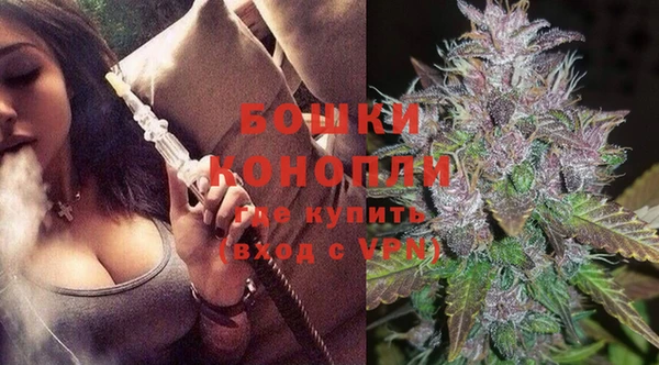 PSILOCYBIN Лагань