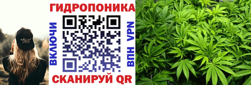 мориарти какой сайт  Красноуральск  Шишки марихуана тримм 